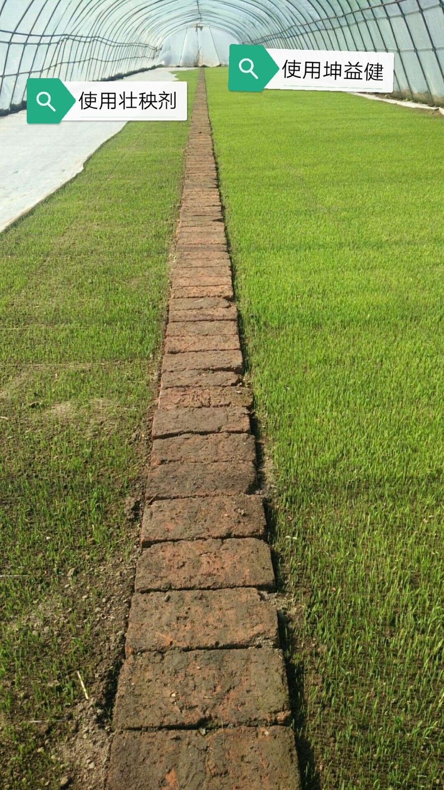 1583213467874938.jpg